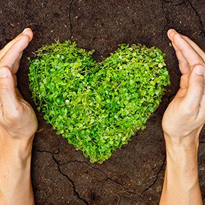 A patch of green grass shaped like heart on the ground and one hand on either side of the heart protecting it from external forces.